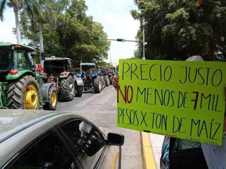 AGRICULTORES MANTENDRÁN BLOQUEOS SI GOBIERNO NO ELEVA OFERTA POR TONELADA DE MAÍZ