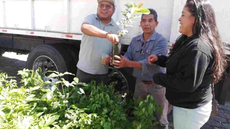 UN ÉXITO, SEGUNDO RECICLÓN EN HUATUSCO