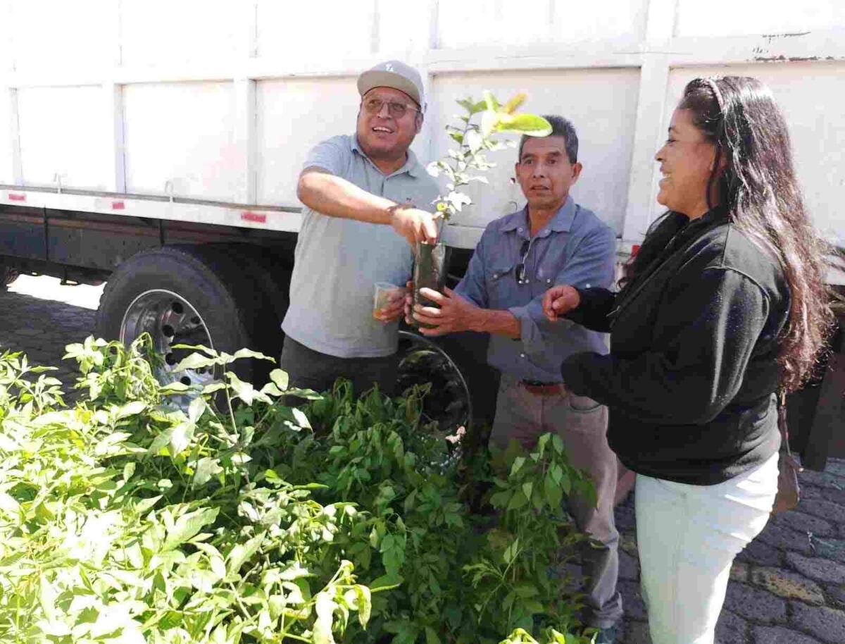 UN ÉXITO, SEGUNDO RECICLÓN EN HUATUSCO