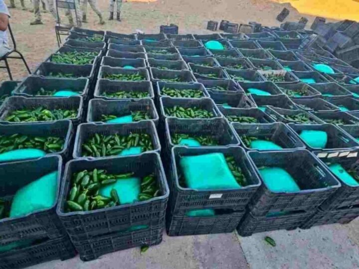 ESCONDEN MÁS DE UNA TONELADA DE DROGA EN CAJAS DE CHILES