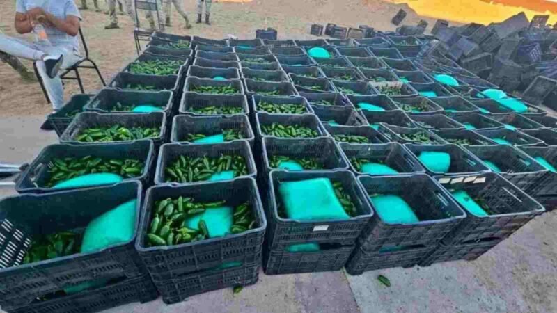 ESCONDEN MÁS DE UNA TONELADA DE DROGA EN CAJAS DE CHILES