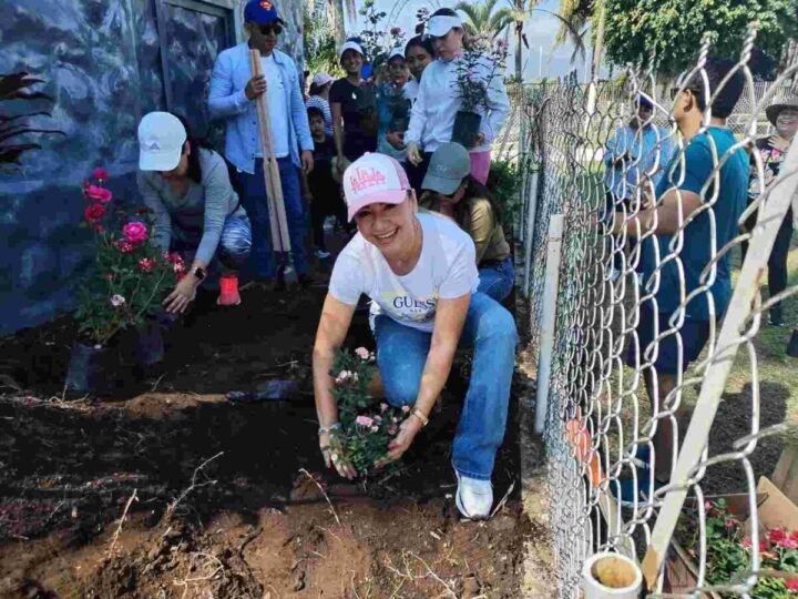 SIEMBRAN JARDÍN A LOS PIES DE LA VIRGEN DE GUADALUPE