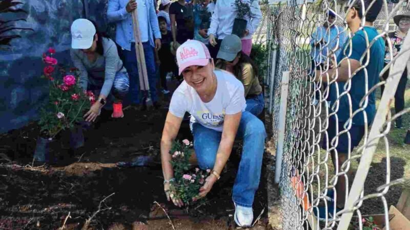 SIEMBRAN JARDÍN A LOS PIES DE LA VIRGEN DE GUADALUPE