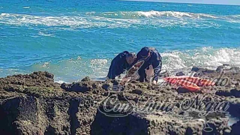 SE SALVAN DE MORIR AHOGADOS