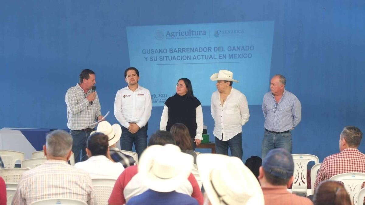GANADEROS DE HUATUSCO TOMAN MEDIDAS PREVENTIVAS CONTRA GUSANO BARRENADOR