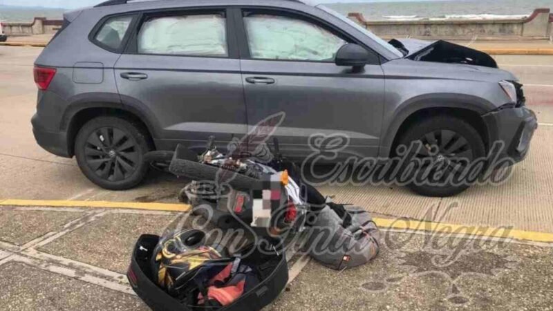 CARPINTERO SE ESTRELLA CONTRA CAMIONETA Y MUERE