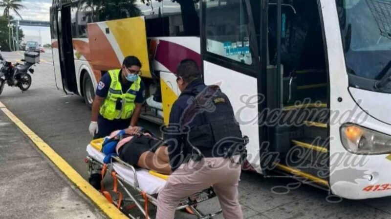 DA A LUZ A BORDO DE AUTOBÚS AU