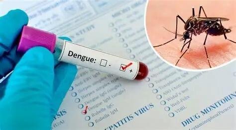 SUMAN 992 NUEVOS CASOS DE DENGUE EN UNA SEMANA