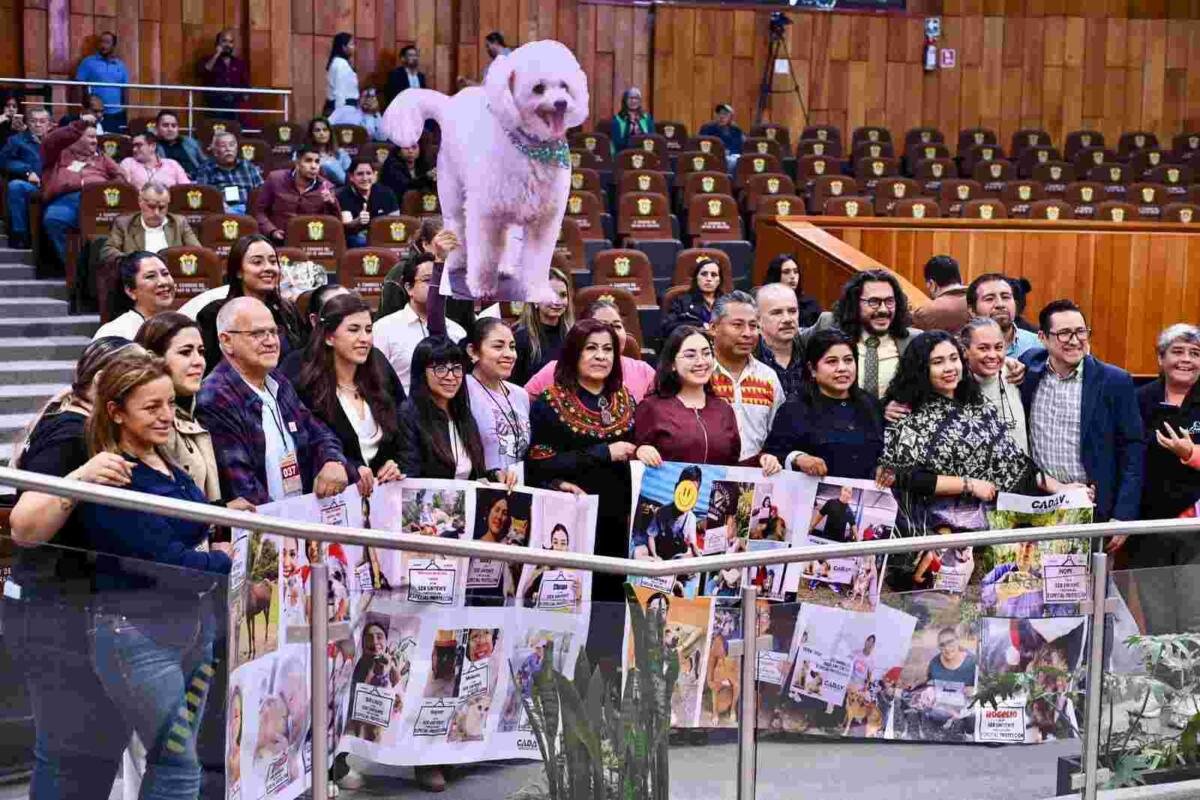 CONGRESO ELEVA A RANGO CONSTITUCIONAL LA PROTECCIÓN A LOS ANIMALES