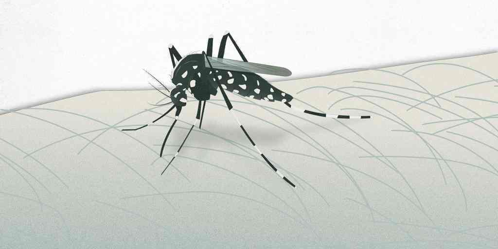 CUBA REPORTA 47 MIL ENFERMOS DE CHIKUNGUÑA