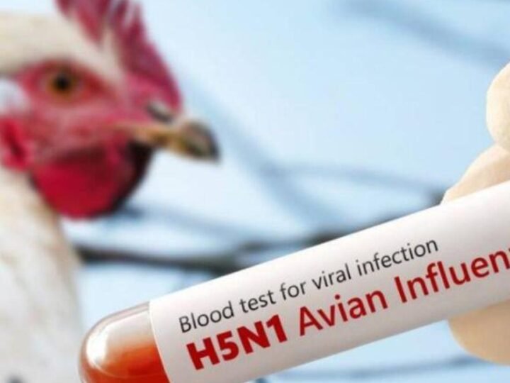 EU REGISTRA LA PRIMERA MUERTE POR GRIPE AVIAR H5N5