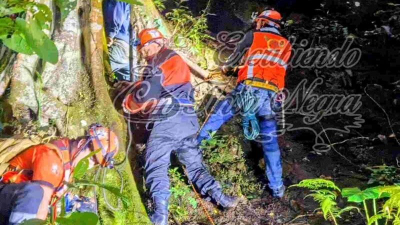ENCUENTRAN A JOVEN COLGADO DE UN ÁRBOL