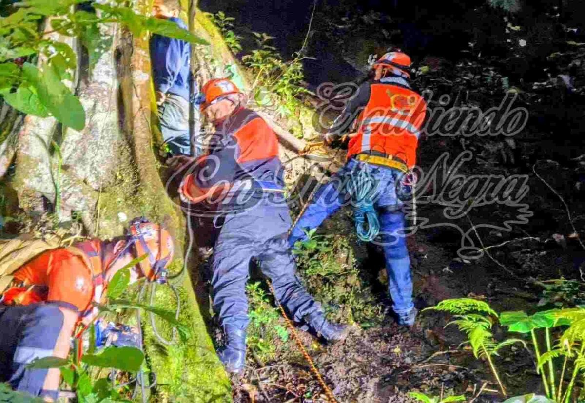 ENCUENTRAN A JOVEN COLGADO DE UN ÁRBOL