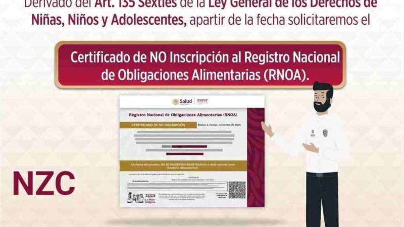 DEUDORES ALIMENTARIOS NO PODRÁN OBTENER LICENCIA EN VERACRUZ