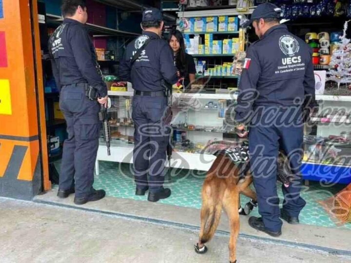 LLEVAN PROGRAMA DE PREVENCIÓN A CARRIZAL