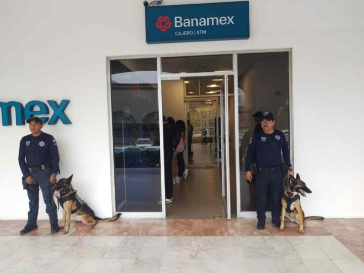 ACTIVA SSP OPERATIVO GUADALUPE-REYES