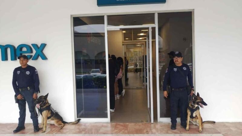 ACTIVA SSP OPERATIVO GUADALUPE-REYES