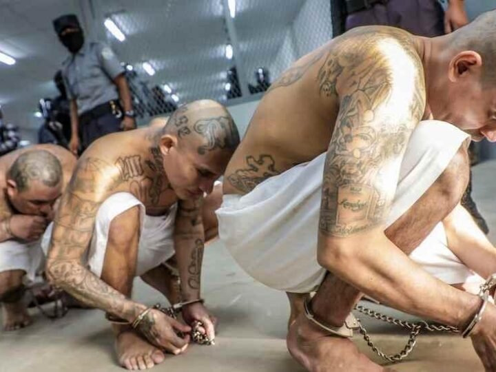 IMPONEN PENAS DE HASTA MIL AÑOS DE CÁRCEL A PANDILLEROS DE LA ‘MS-13’