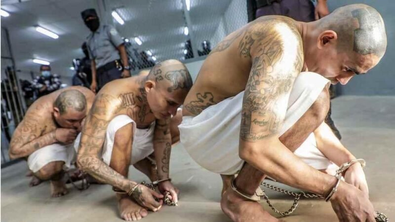 IMPONEN PENAS DE HASTA MIL AÑOS DE CÁRCEL A PANDILLEROS DE LA ‘MS-13’