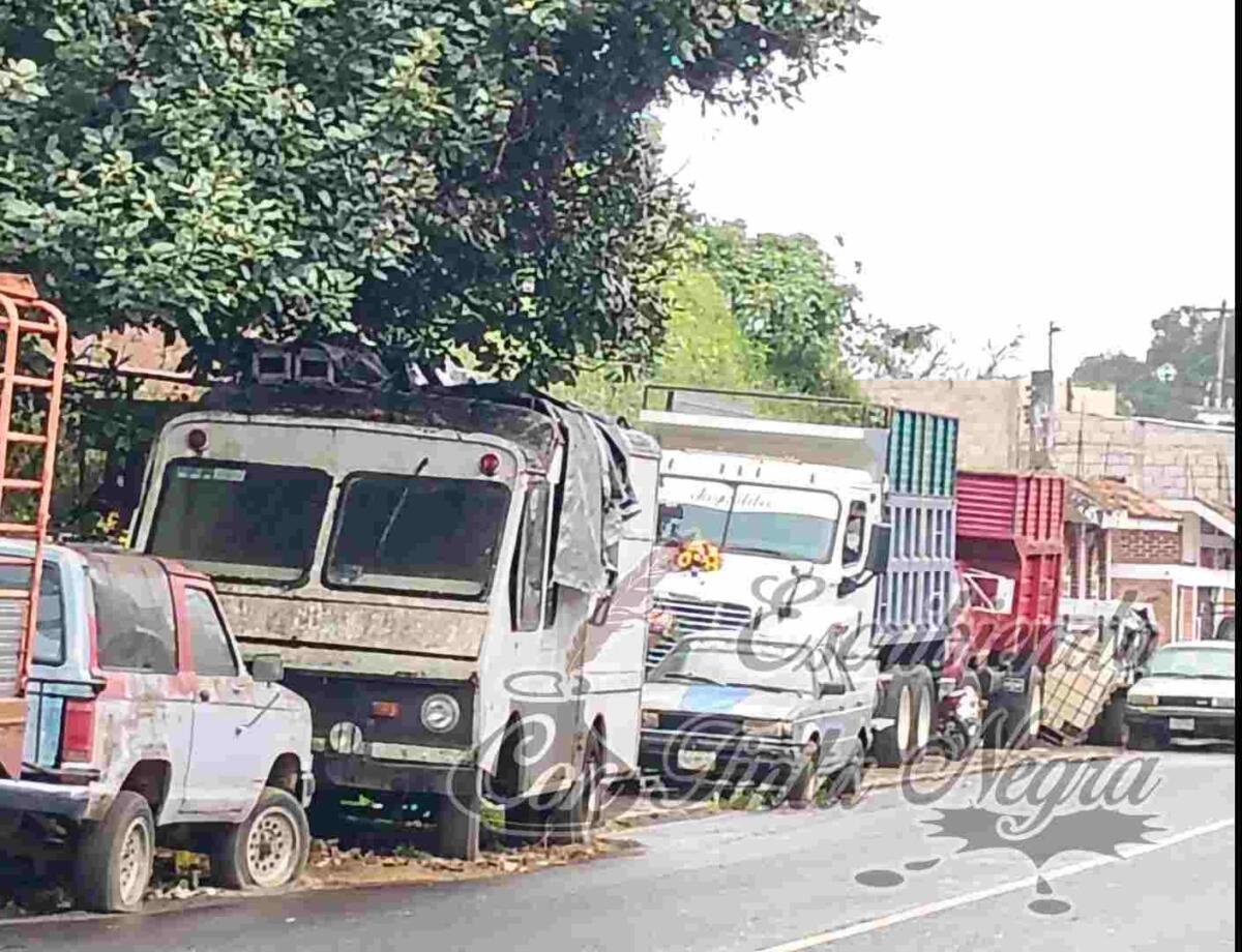 REPRUEBA NORA ACOSTA EN VIALIDAD