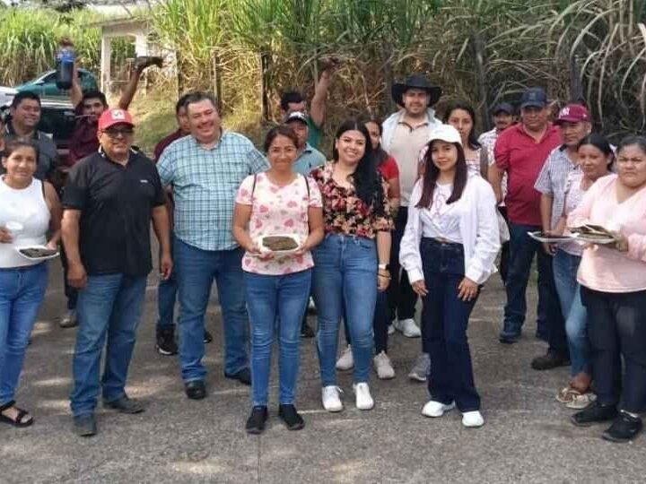 ALISTA CRISPINA ZUCCOLOTO TOMA DE PROTESTA EN SOCHIAPA