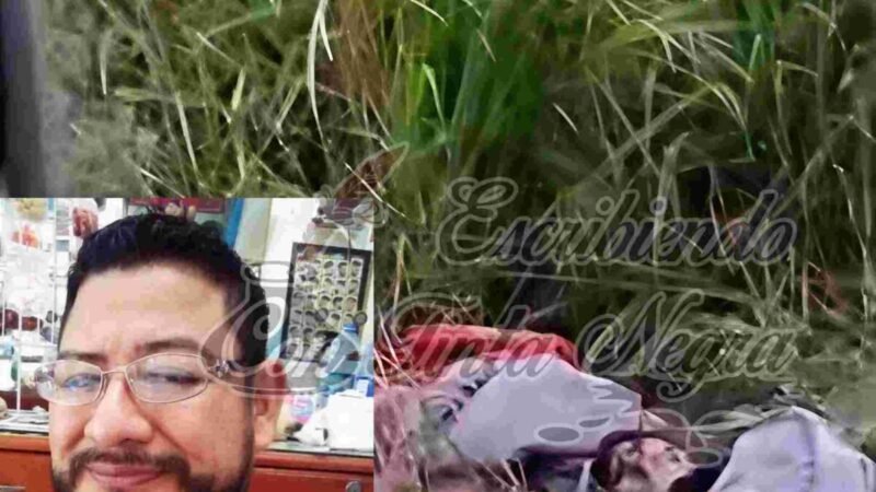 EJECUTAN A ESTILISTA