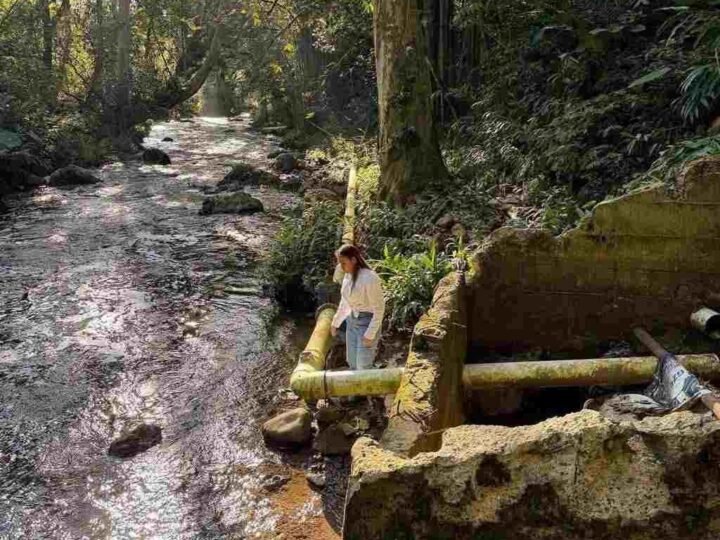 AYUNTAMIENTO DE FORTÍN PRESENTARÁ DENUNCIA POR CONTAMINACIÓN EN BARRANCA DEL METLAC