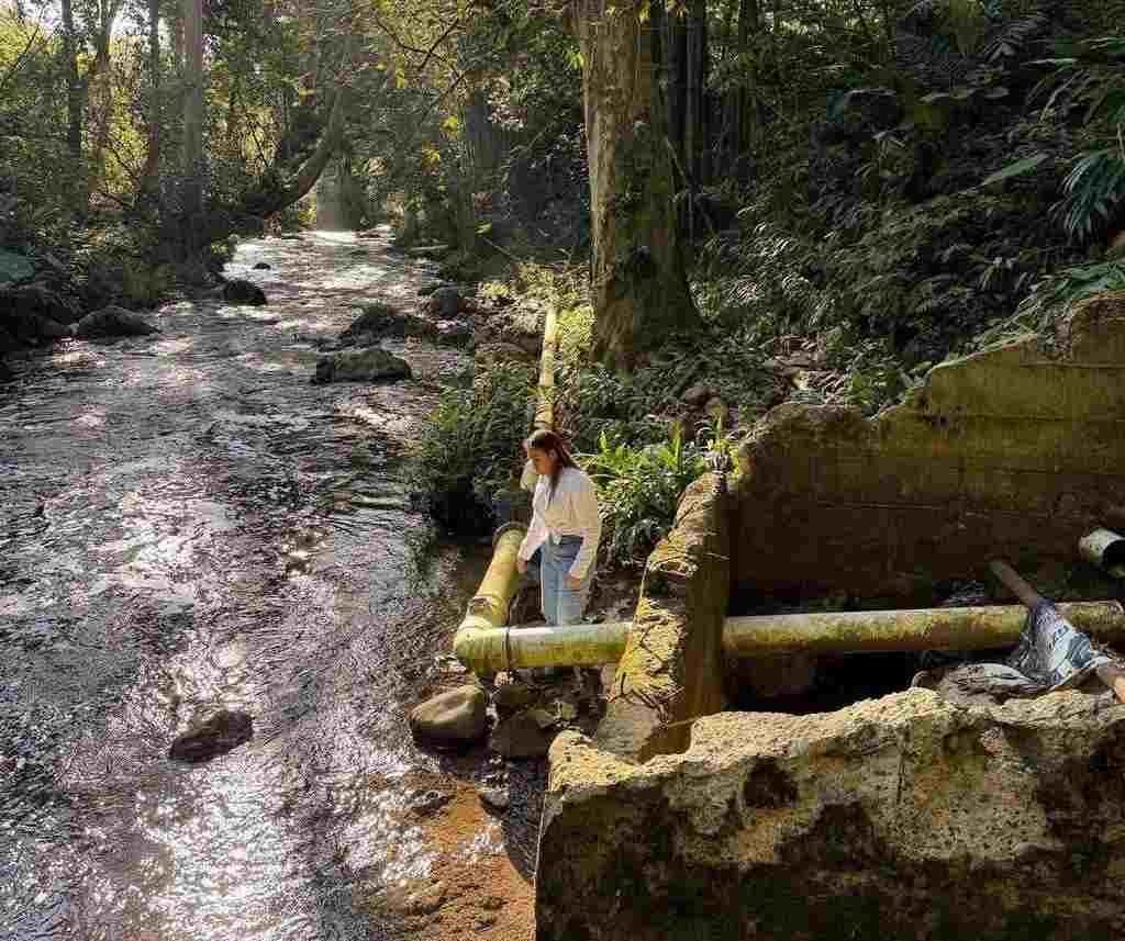 AYUNTAMIENTO DE FORTÍN PRESENTARÁ DENUNCIA POR CONTAMINACIÓN EN BARRANCA DEL METLAC