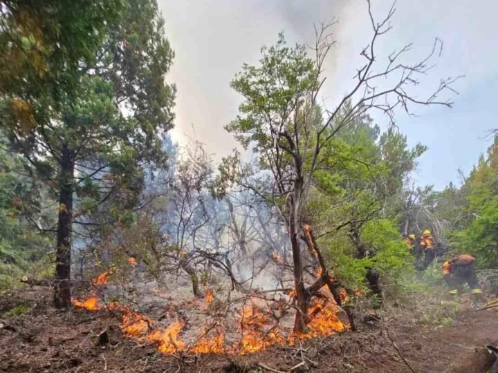 SUMAN SEIS INCENDIOS EN LA REGIÓN