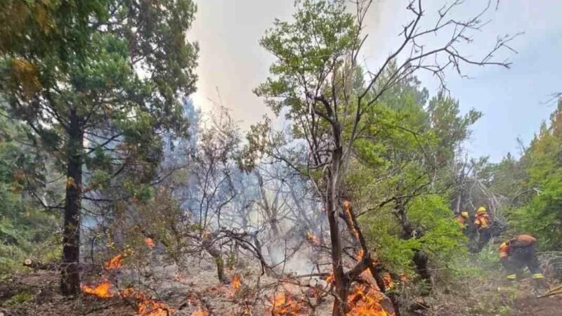 SUMAN SEIS INCENDIOS EN LA REGIÓN