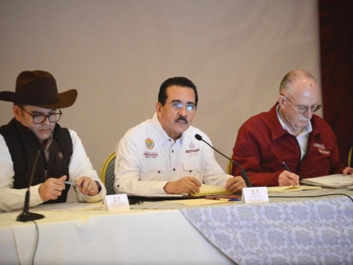 REFUERZAN CONTROL SANITARIO CONTRA GUSANO BARRENADOR