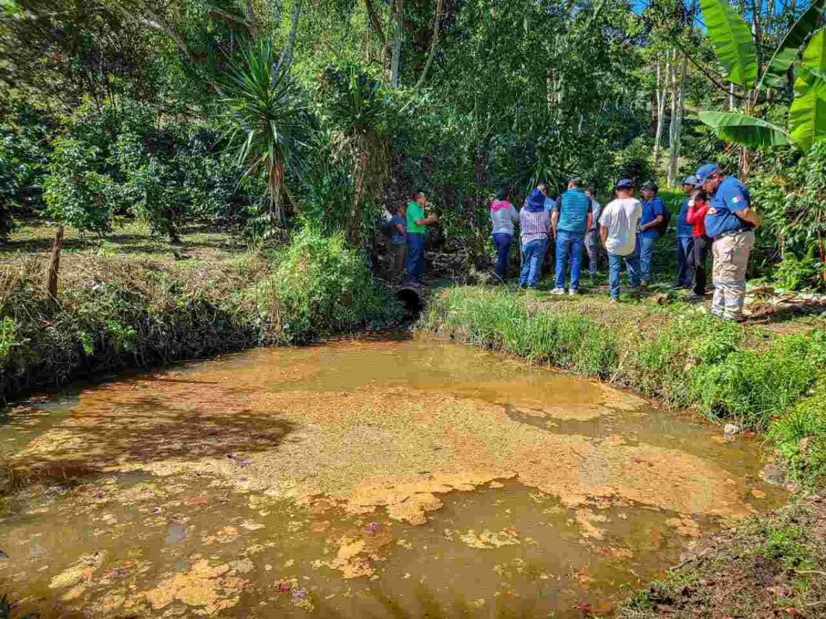 AUTORIDADES DE IXHUATLÁN DEL CAFÉ ATIENDEN POSIBLE DAÑO AMBIENTAL