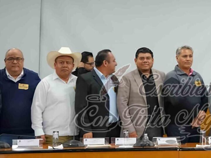 REALIZAN ALCALDES DE FORTÍN, COSCOMATEPEC Y CALCAHUALCO GESTIONES ANTE DEPENDENCIAS FEDERALES