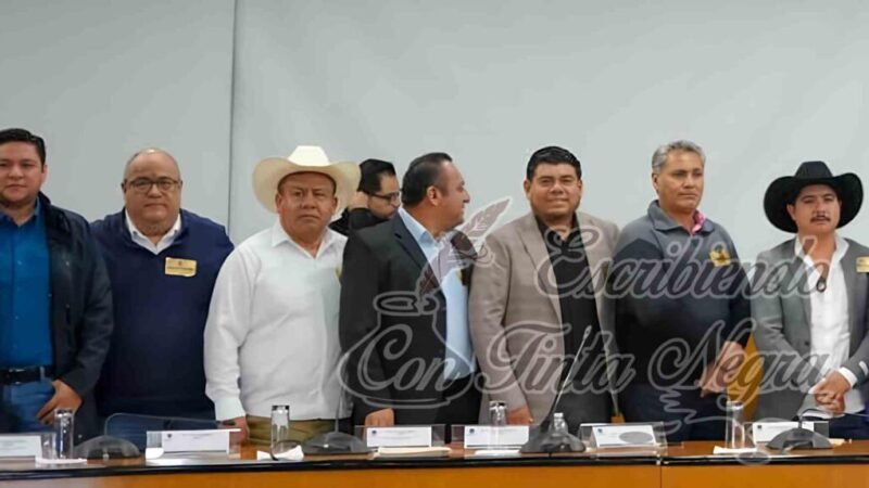 REALIZAN ALCALDES DE FORTÍN, COSCOMATEPEC Y CALCAHUALCO GESTIONES ANTE DEPENDENCIAS FEDERALES