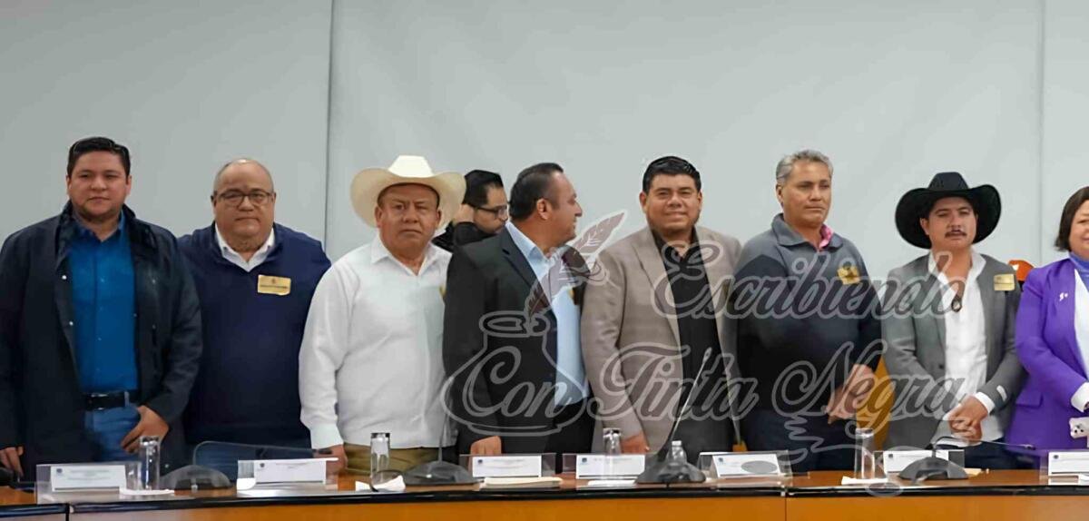 REALIZAN ALCALDES DE FORTÍN, COSCOMATEPEC Y CALCAHUALCO GESTIONES ANTE DEPENDENCIAS FEDERALES