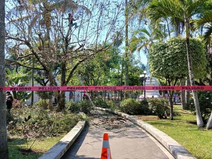 DAN MANTENIMIENTO A PARQUES DE FORTÍN