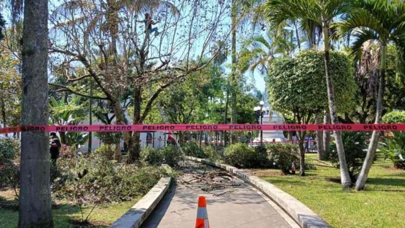 DAN MANTENIMIENTO A PARQUES DE FORTÍN