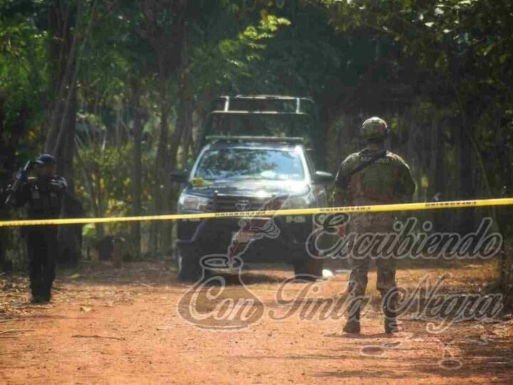 HAY AL MENOS 17 CUERPOS EN FOSAS CLANDESTINAS DE JÁLTIPAN; ACTIVISTAS