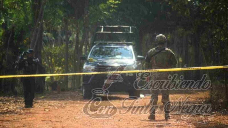 HAY AL MENOS 17 CUERPOS EN FOSAS CLANDESTINAS DE JÁLTIPAN; ACTIVISTAS