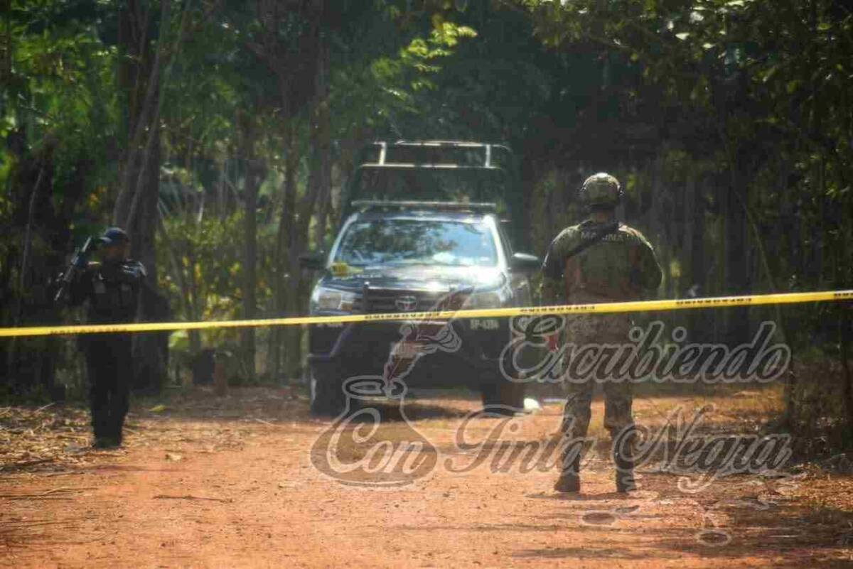 HAY AL MENOS 17 CUERPOS EN FOSAS CLANDESTINAS DE JÁLTIPAN; ACTIVISTAS