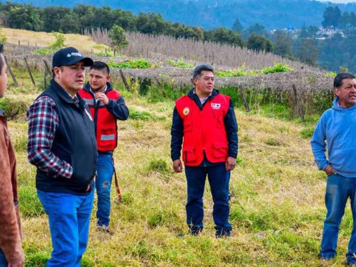 ALPATLÁHUAC TENDRÁ INVERNADERO MUNICIPAL