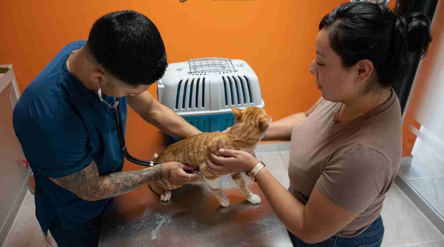 EN ORIZABA SE RESPETA LA VIDA ANIMAL