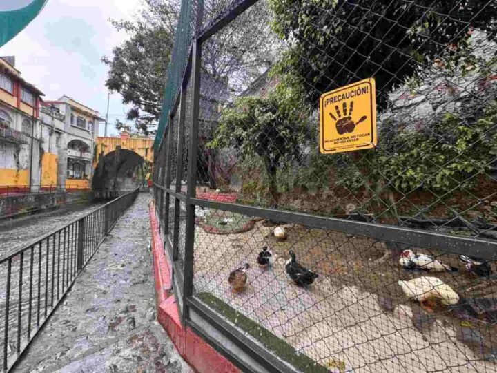 UMA DE ORIZABA OPTIMIZA ESPACIOS DE LA RESERVA ANIMAL DEL RÍO