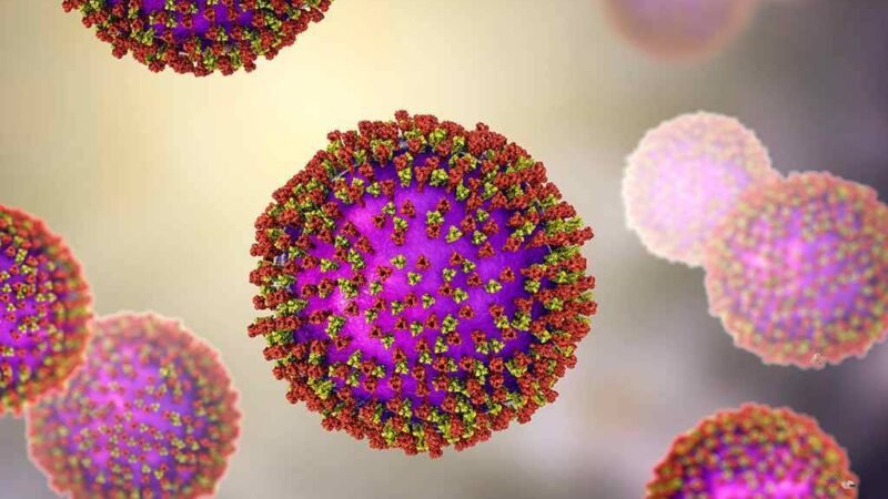 ESTADOS UNIDOS SUPERA LOS MIL 100 CASOS DE SARAMPIÓN