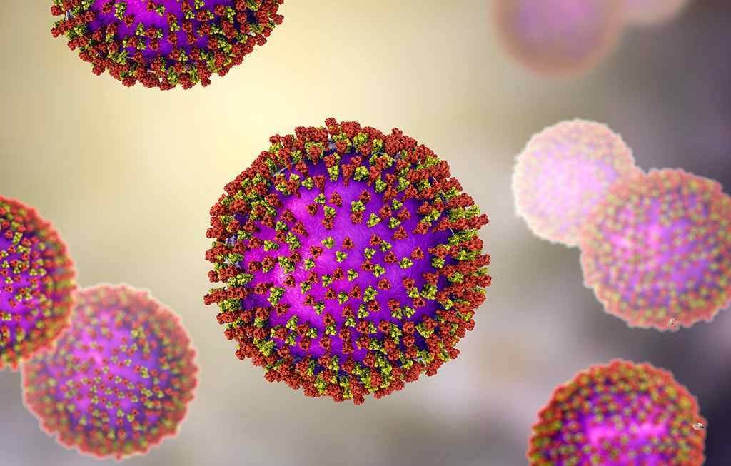 ESTADOS UNIDOS SUPERA LOS MIL 100 CASOS DE SARAMPIÓN