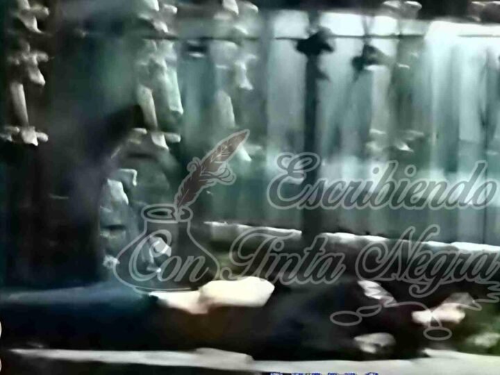 LO SACAN DE SU CASA Y LO EJECUTAN