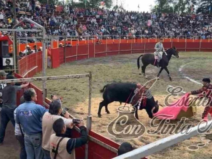 ASESINAN A TRES TOROS EN FIESTA PATRONAL; ALCALDE LO APLAUDE
