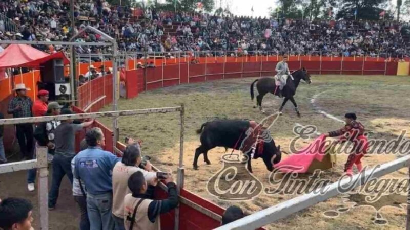 ASESINAN A TRES TOROS EN FIESTA PATRONAL; ALCALDE LO APLAUDE