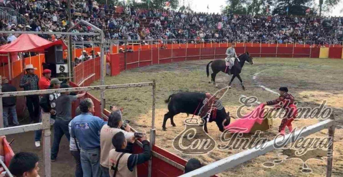 ASESINAN A TRES TOROS EN FIESTA PATRONAL; ALCALDE LO APLAUDE