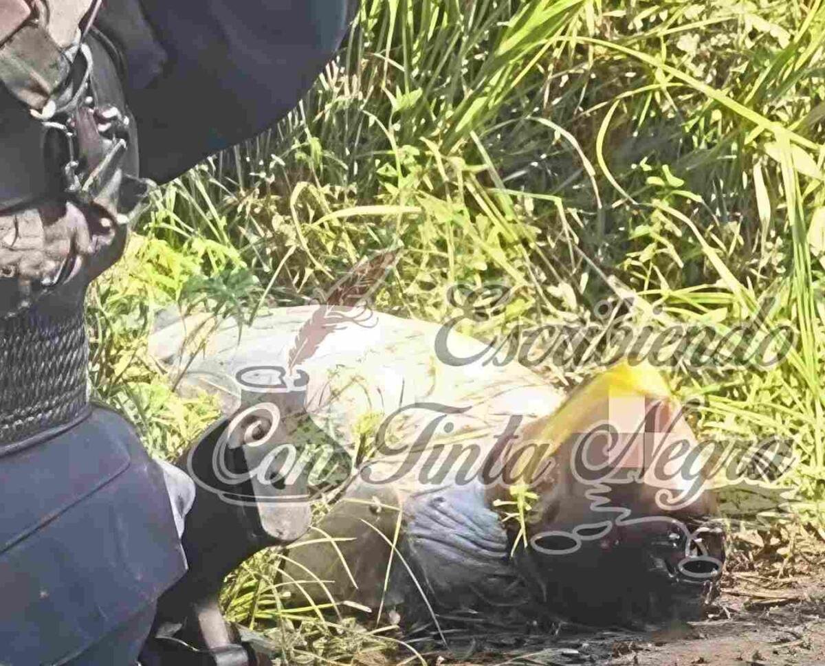 ENCUENTRAN EJECUTADO SOBRE LA AUTOPISTA